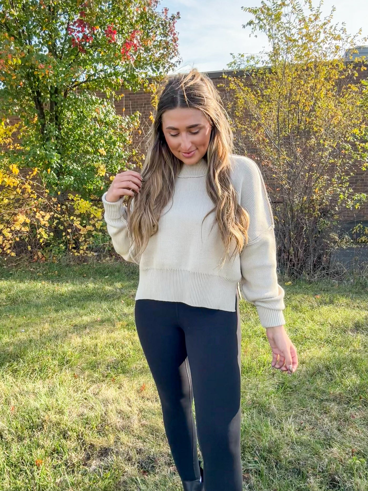 Taryn Oatmeal Mockneck Sweater